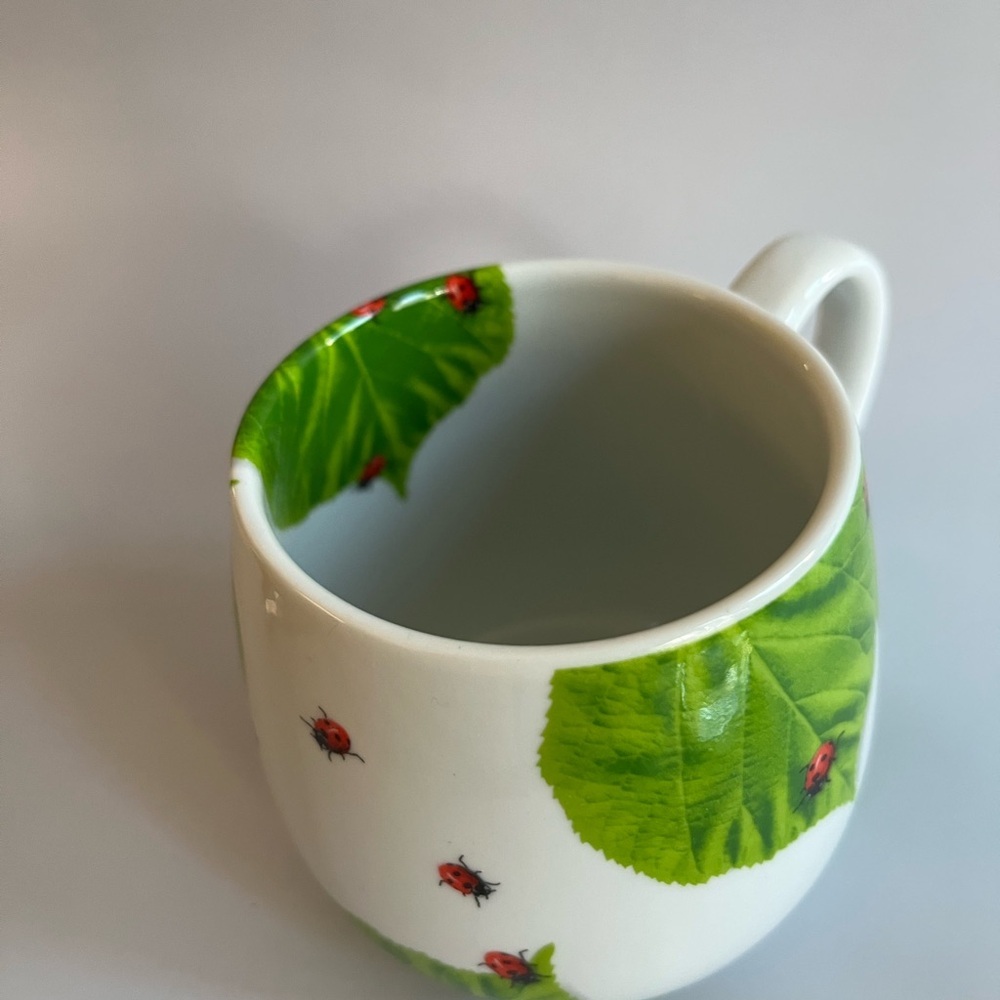 Könitz Fine Porcelain Ladybug & Green Leaves Mug - Picture 4 of 8